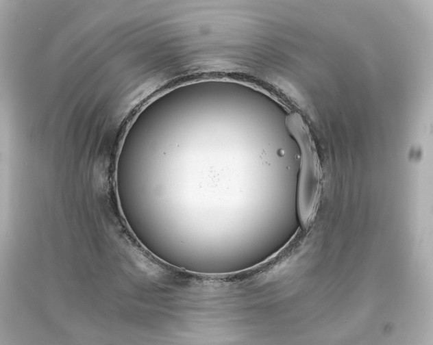 X0000091940873200709121617