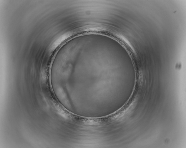 X0000091940874200709121617