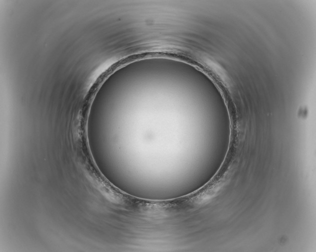 X0000091940875200709121617