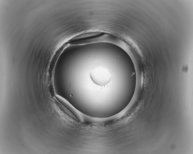 X0000091940876200709121617