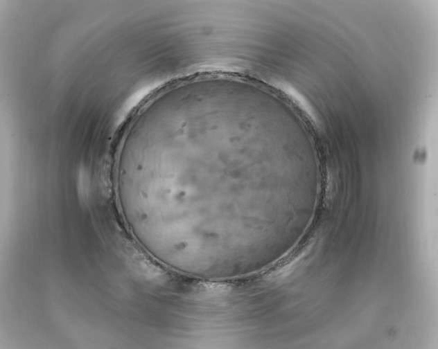 X0000091940878200709121617