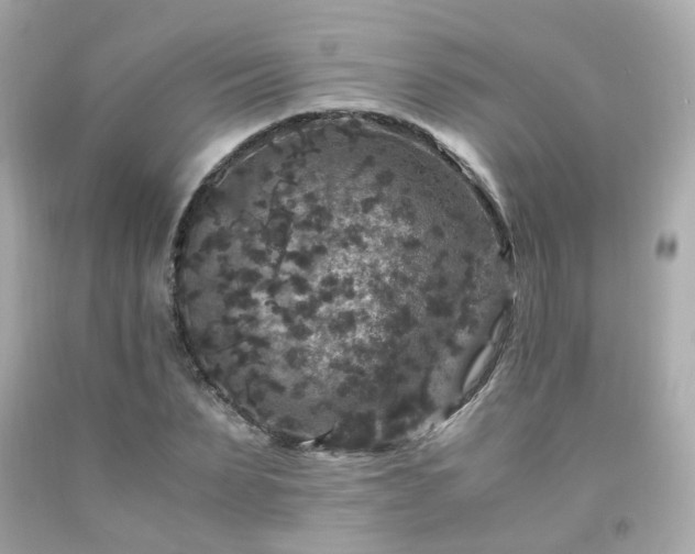 X0000091940879200709121617