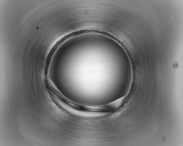 X0000091940880200709121617