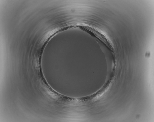 X0000091940881200709121617