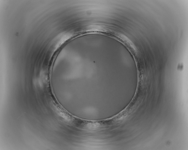 X0000091940882200709121617