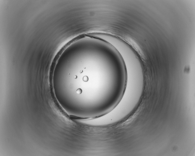 X0000091940884200709121617