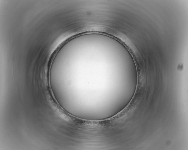 X0000091940886200709121617