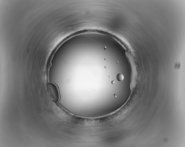 X0000091940887200709121617