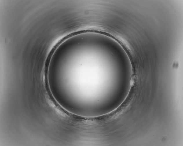 X0000091940888200709121617