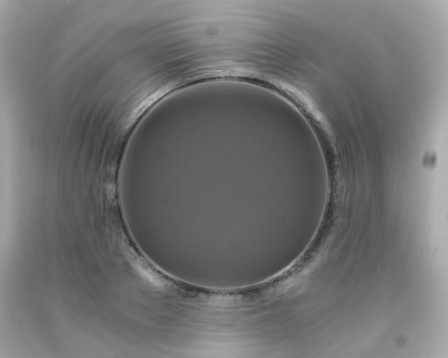 X0000091940889200709121617