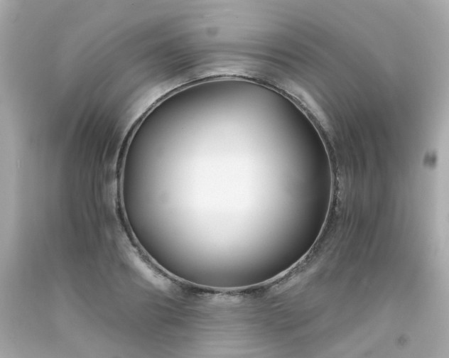 X0000091940890200709121617