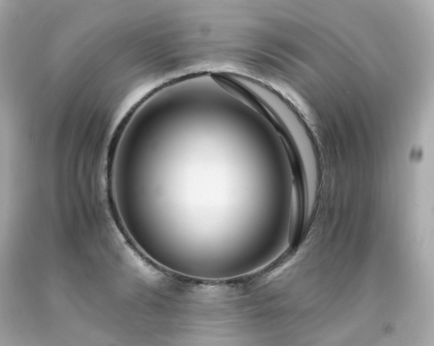 X0000091940894200709121617