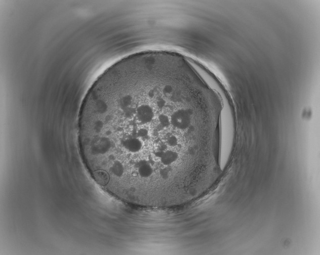 X0000091940895200709121617