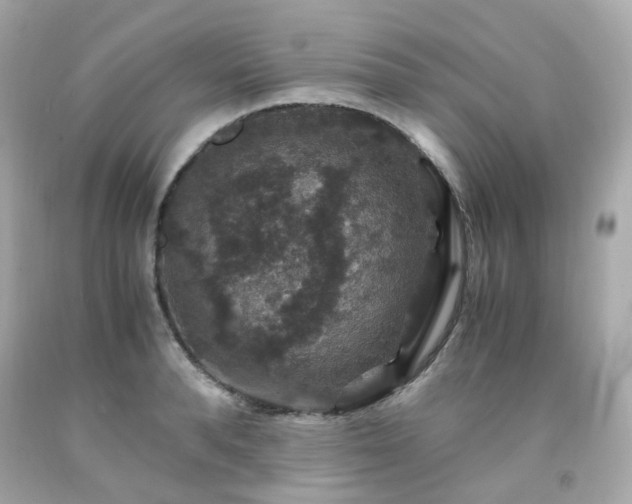 X0000091940896200709121617