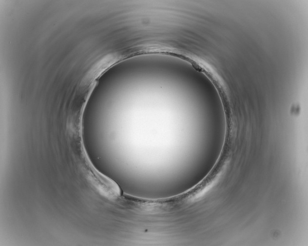 X0000091940897200709121616