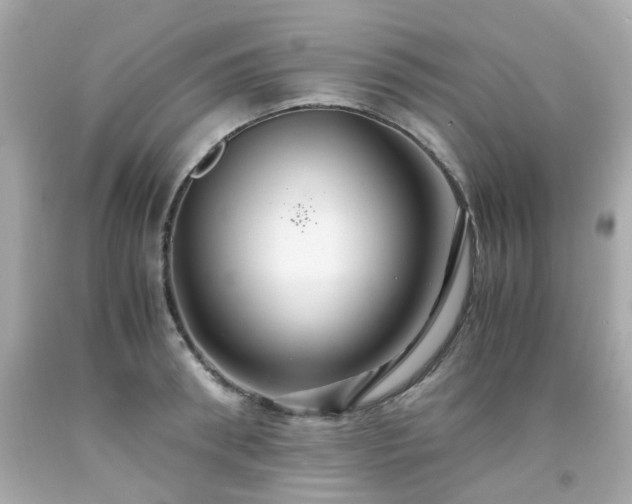 X0000091940898200709121616