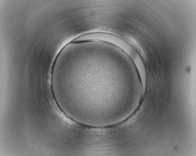 X0000091940900200709121616