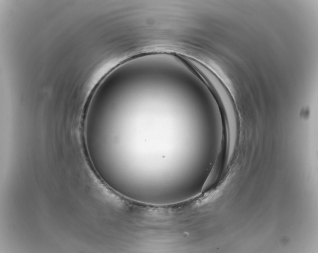 X0000091940901200709121616