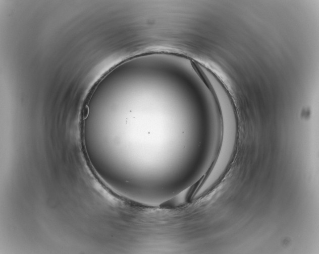 X0000091940902200709121616