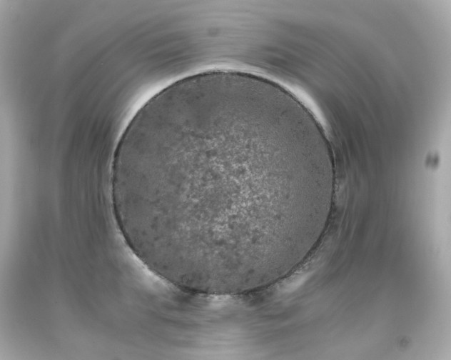 X0000091940903200709121616