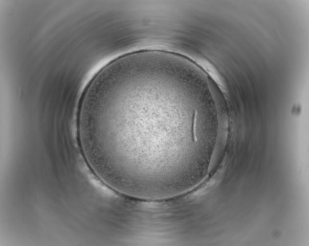 X0000091940904200709121616