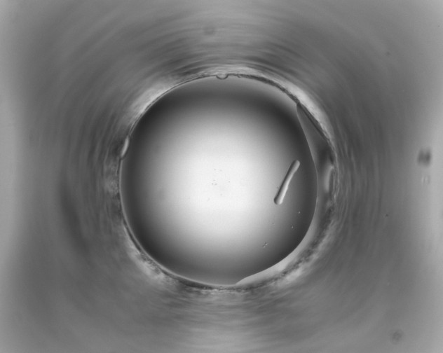 X0000091940905200709121616