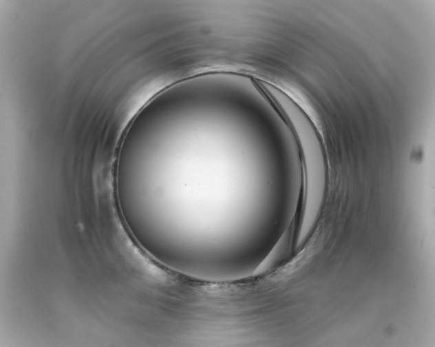 X0000091940906200709121616