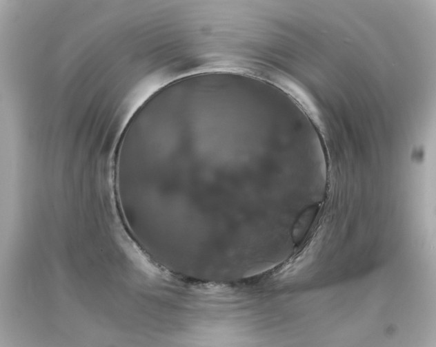 X0000091940907200709121616