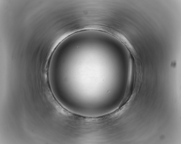 X0000091940908200709121616