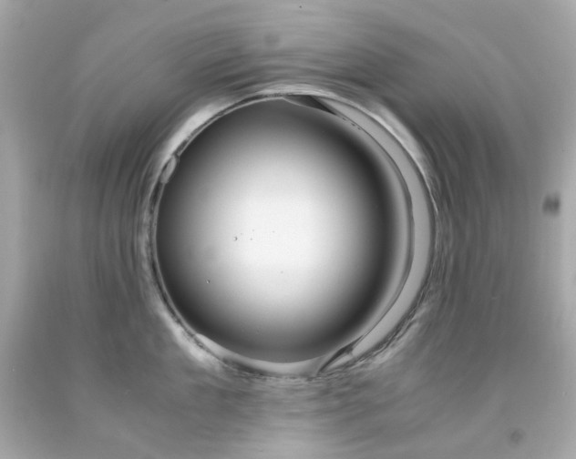 X0000091940909200709121616