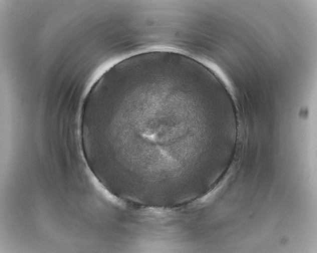 X0000091940910200709121616