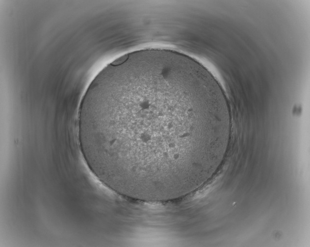 X0000091940911200709121616