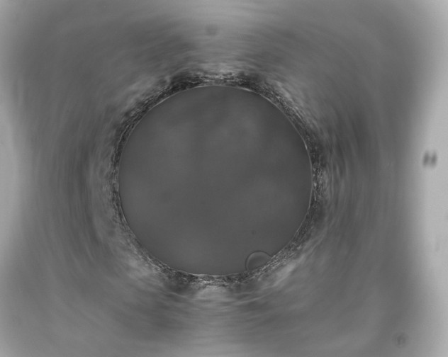 X0000091940913200709121616