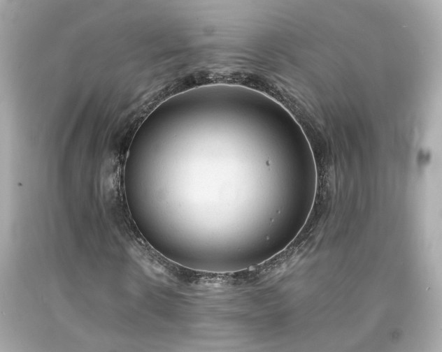 X0000091940914200709121616