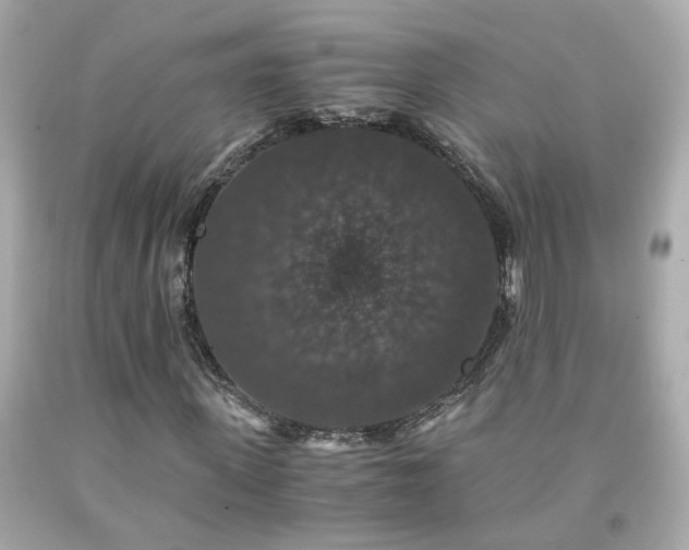 X0000091940915200709121616