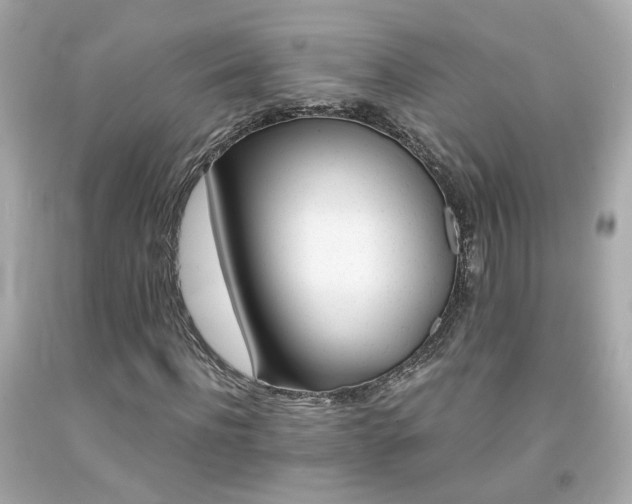 X0000091940916200709121616