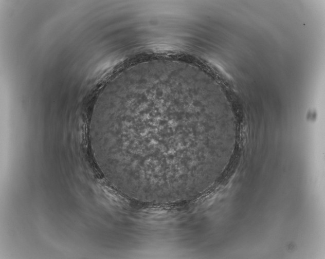 X0000091940917200709121616