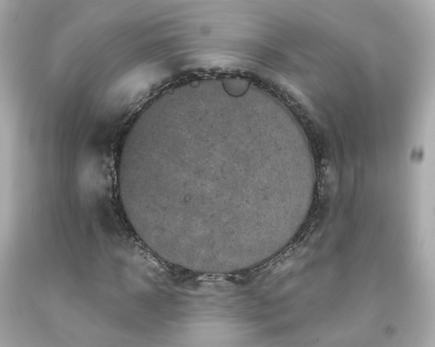 X0000091940918200709121616