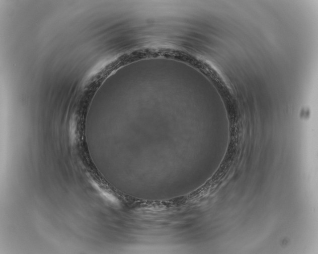 X0000091940919200709121616