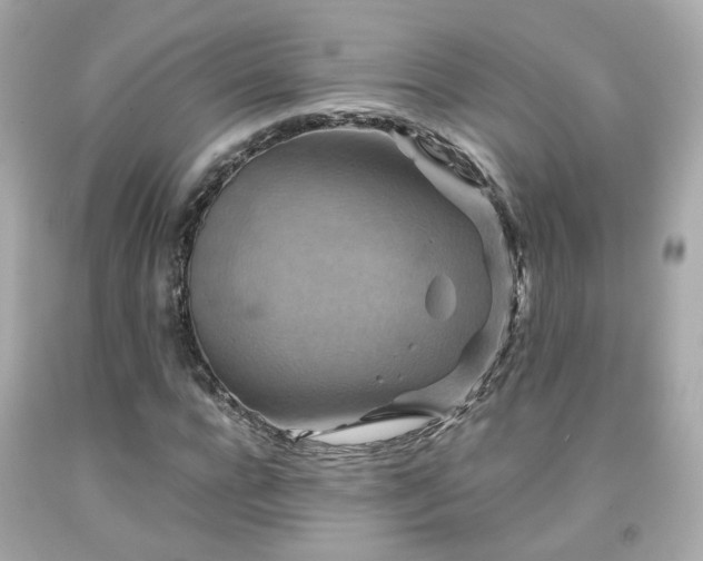 X0000091940920200709121616