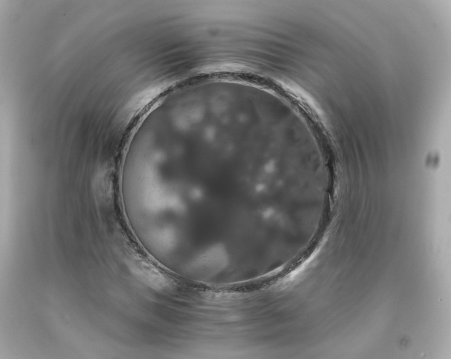 X0000091940921200709121616