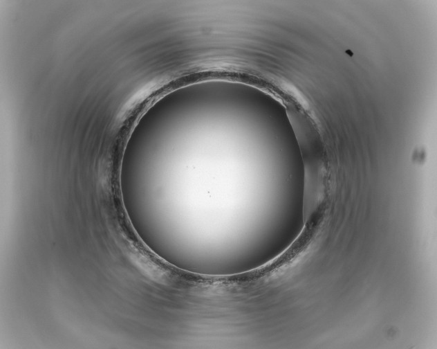 X0000091940922200709121616