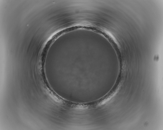 X0000091940923200709121616