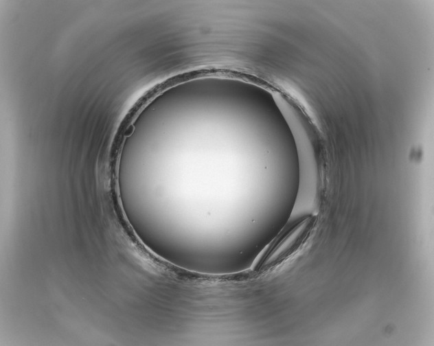 X0000091940924200709121616