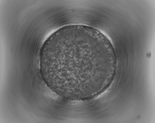 X0000091940925200709121616