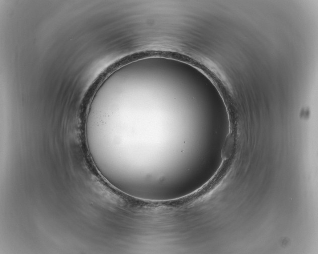 X0000091940926200709121616