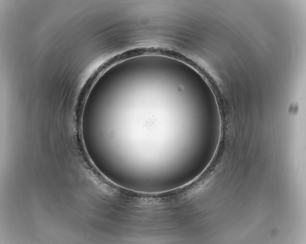 X0000091940927200709121616