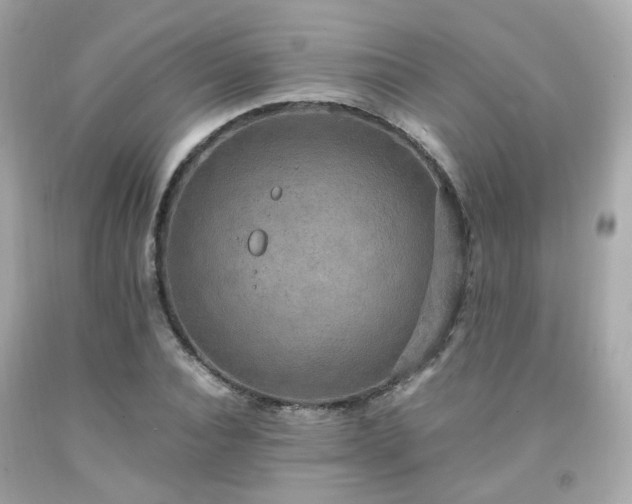 X0000091940928200709121616