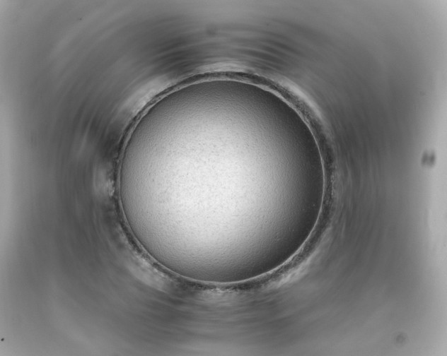 X0000091940929200709121616