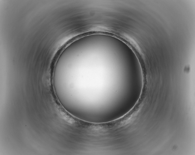 X0000091940931200709121616